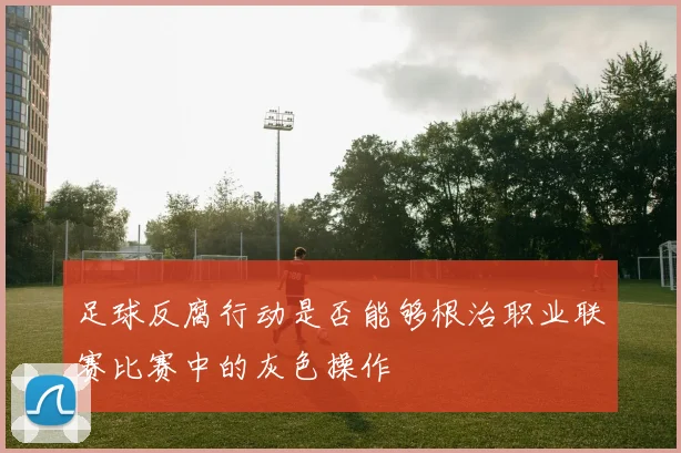 足球反腐行动是否能够根治职业联赛比赛中的灰色操作