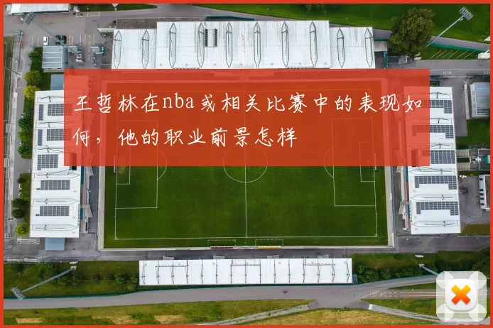 王哲林在nba或相关比赛中的表现如何,他的职业前景怎样