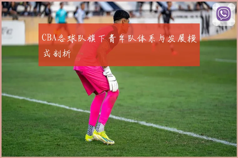 CBA各球队旗下青年队体系与发展模式剖析